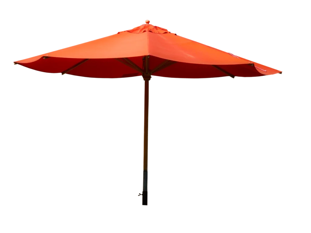 Free Image by Gerhard from Pixabay summer