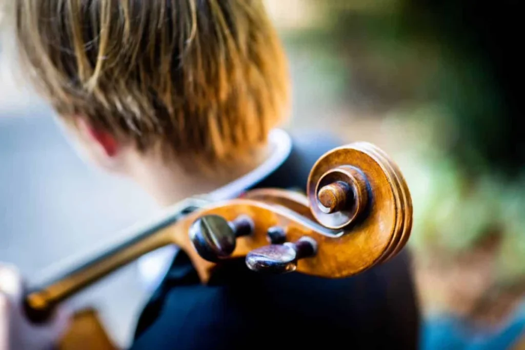 https://www.pexels.com/photo/photo-of-person-holding-string-instrument-3120112/ - music entertainment